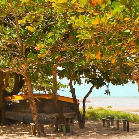 Pousada Venezia Tropicale Japaratinga Bagian luar foto